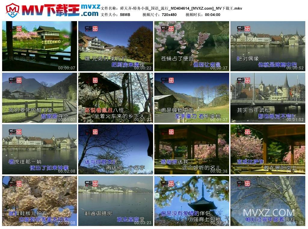 舜天齐-特务小强_国语_流行_MD404614